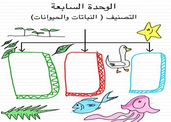 ملخص في الوحدة السابعة في العلوم للمستوى السادس الفصل الثاني