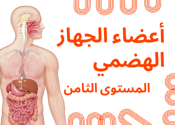 شرح درس أعضاء الجهاز الهضمي في العلوم للثامن الفصل الثاني