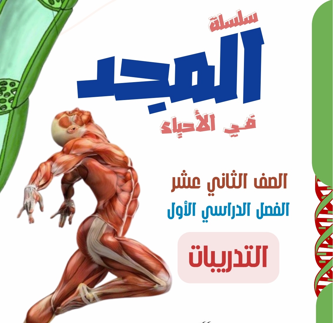 المجد تدريبات في الوحدة الأولى في الأحياء للثاني عشر فصل الأول